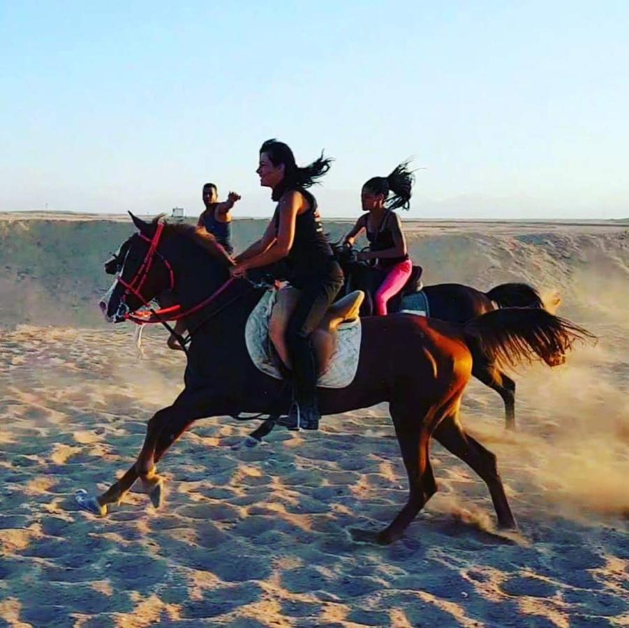 Bed and Breakfast Happy Bedouin House Petra Al Hayy Экстерьер фото